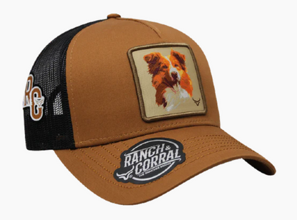 Gorra Ranch & Corral Border Collie