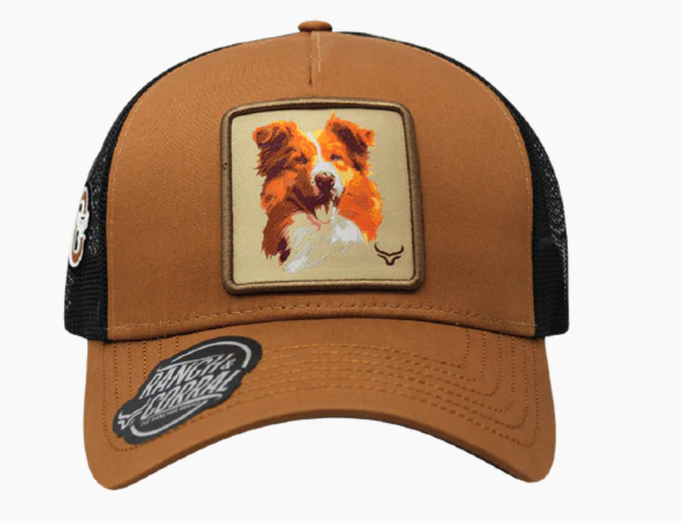 Gorra Ranch & Corral Border Collie